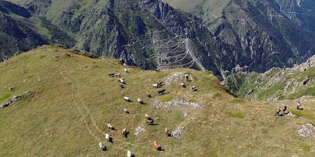 18 km’lik zorlu tırmanışın ardından zirveye ulaşılıyor! Doğu Karadeniz’in saklı cenneti unutulmaz anlar yaşatıyor 1